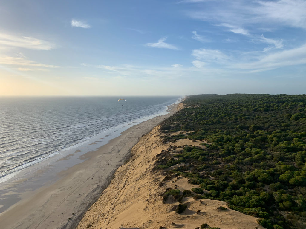 Bild von Gleitschirmfliegen an der Düne.